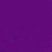 Solid Color (Grape) Women's Board/Swim Shorts - 11" - Board Shorts World Outlet